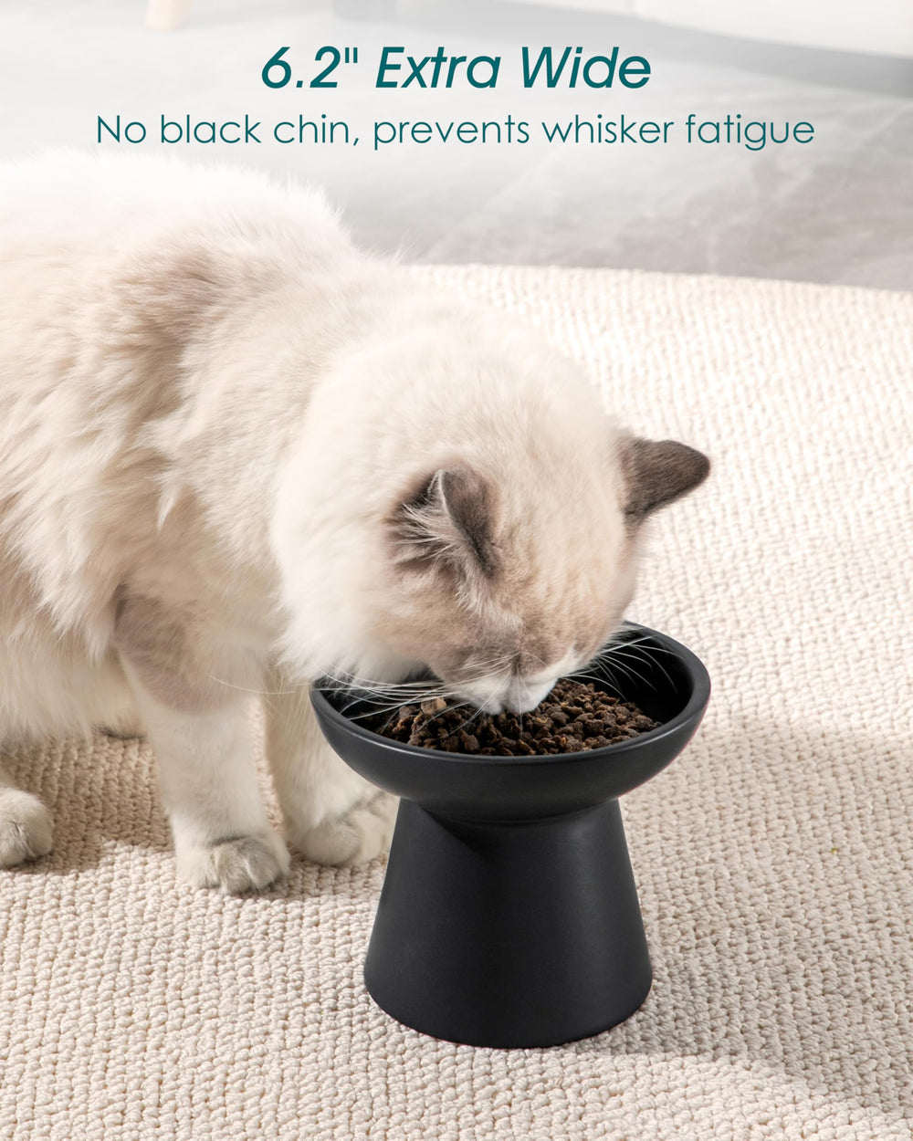 Vancasso five-point-one-inch height stand demonstrates elevated feeding.