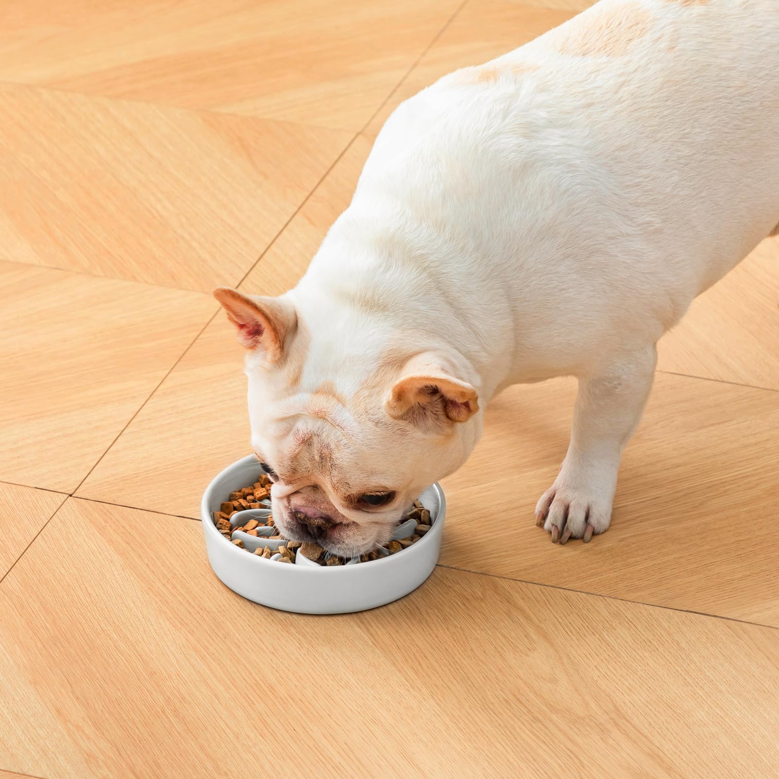 Vancasso grayish cyan ceramic bowl complements home decor and pets.