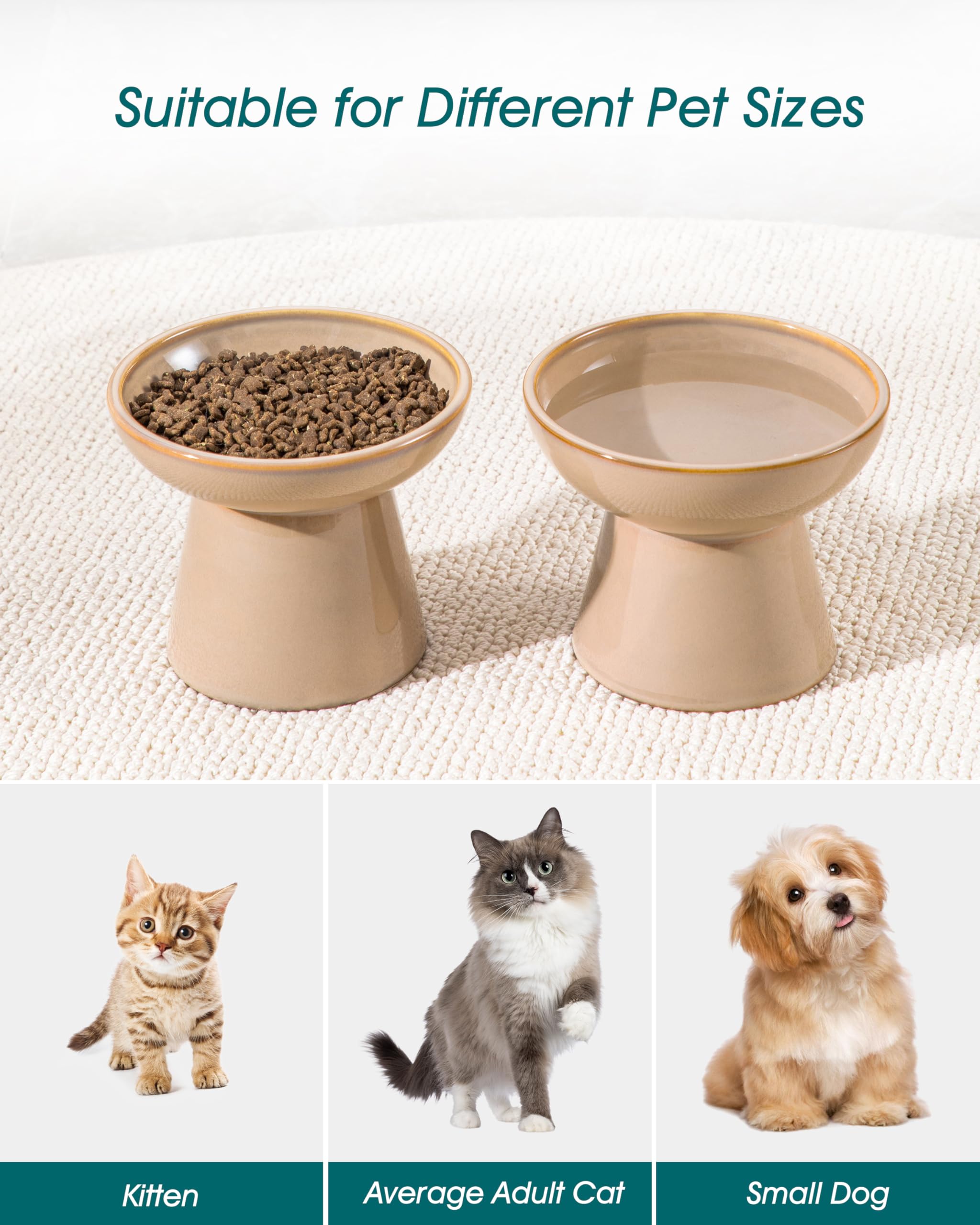 Vancasso heavy, stable base helps prevent spills during feeding.