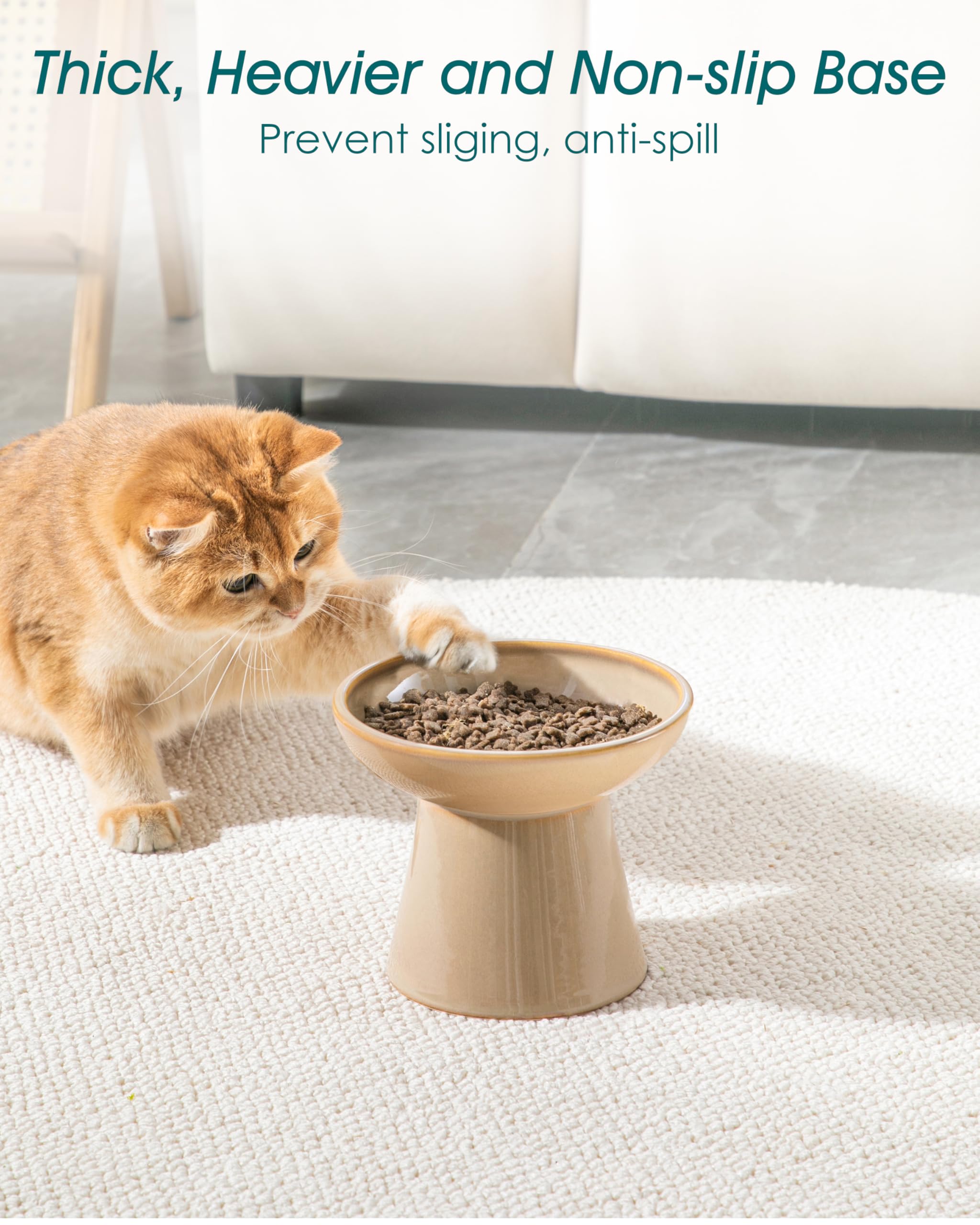 Vancasso lead-free cadmium-free ceramic ensures a clean, safe feeding surface.