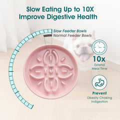 Vancasso lead free ceramic bowl offers a safe, non toxic feeding option