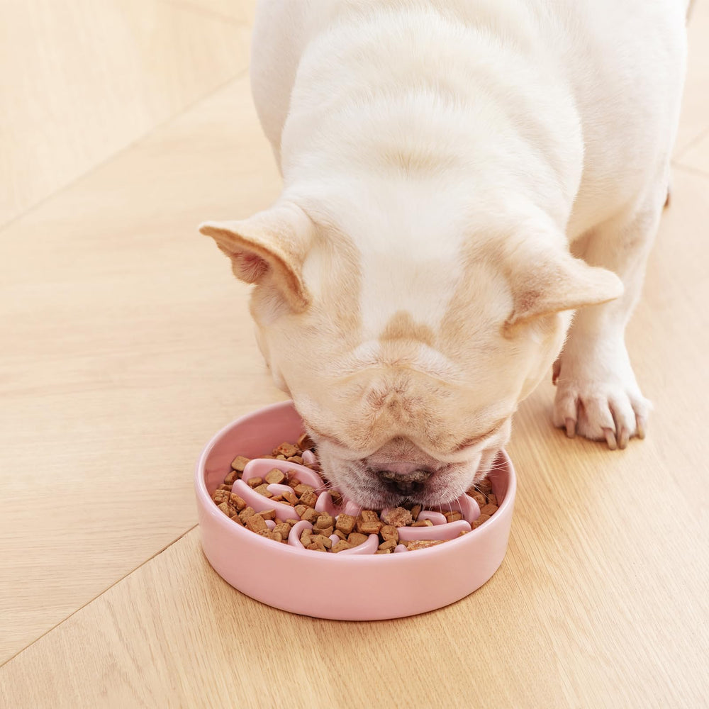 Vancasso mealtime puzzle engages dogs and reduces boredom during feeding