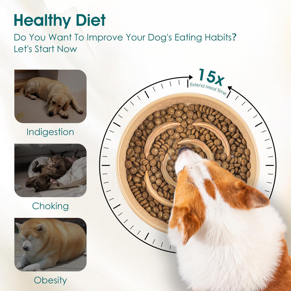 Vancasso medium-breed dog bowl fits medium pets and cats