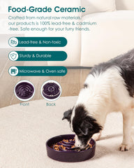 Vancasso ceramic bowl with non-toxic glaze keeps pets safe during meals.