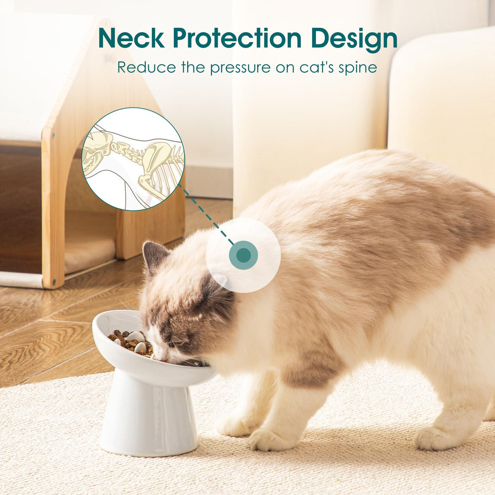 Vancasso non-toxic ceramic construction keeps feeding safe for pets.