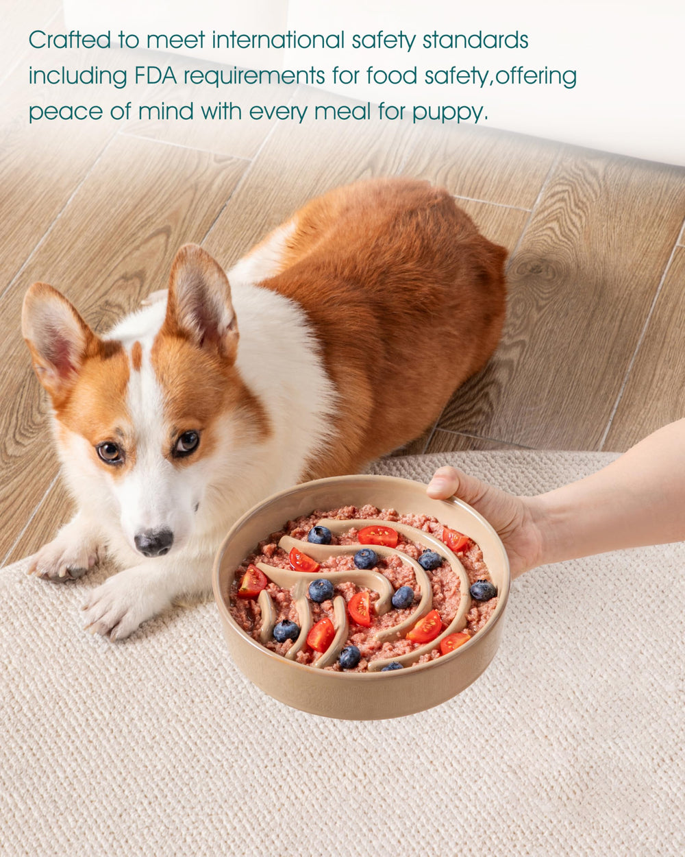 Vancasso one-and-half-cup capacity suits small to medium dogs.