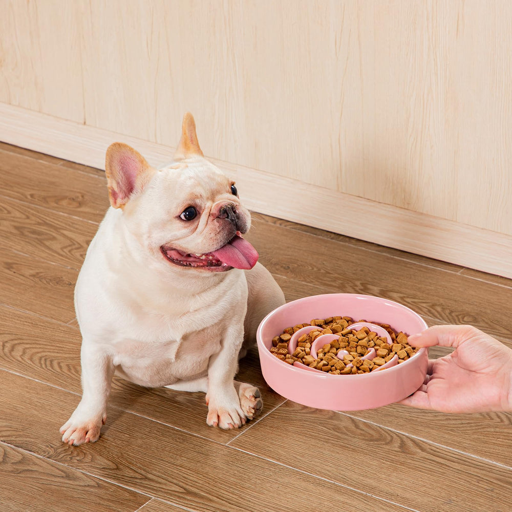 Vancasso pink slow-feeder suitable for cats and small dogs