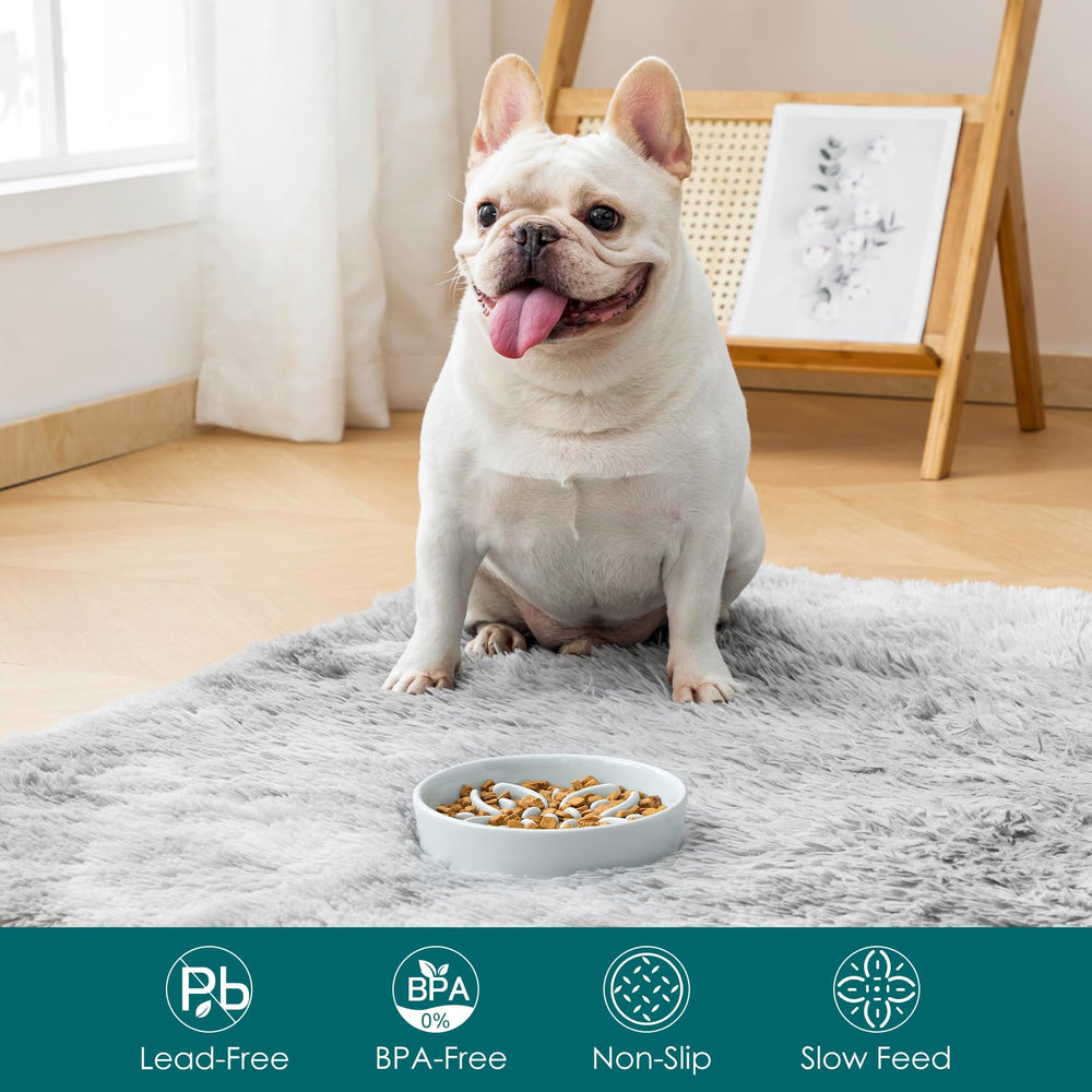 Vancasso puzzle-meal bowl engages dogs with a brain teaser at mealtime.