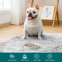Vancasso puzzle-meal bowl engages dogs with a brain teaser at mealtime.