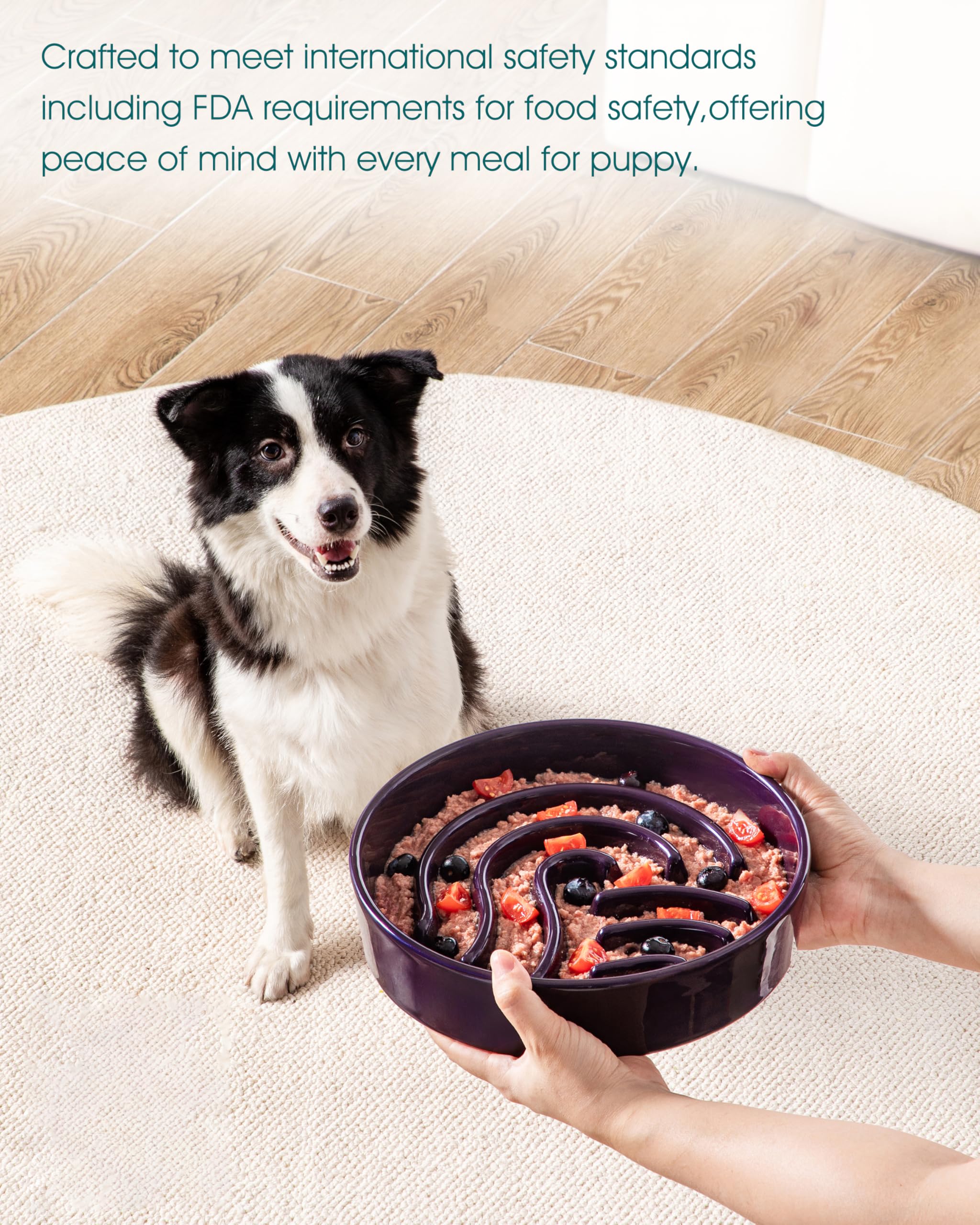 Vancasso slip-resistant bottom minimizes spills for active dogs.