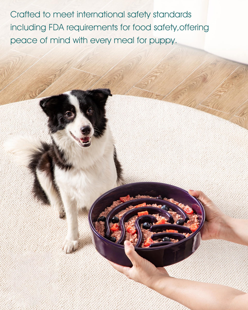 Vancasso slip-resistant bottom minimizes spills for active dogs.