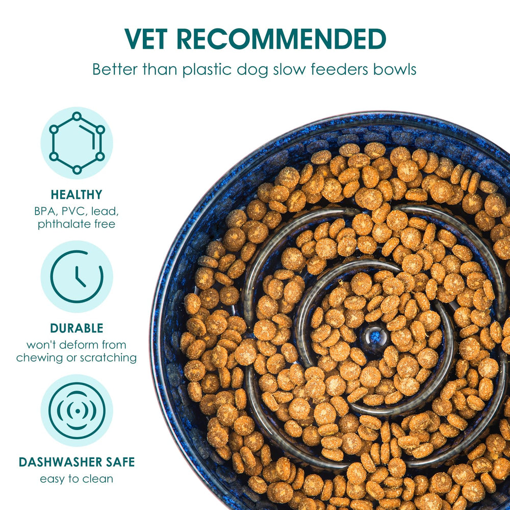 3-cup capacity shown with portions of dry food in the Vancasso ceramic bowl