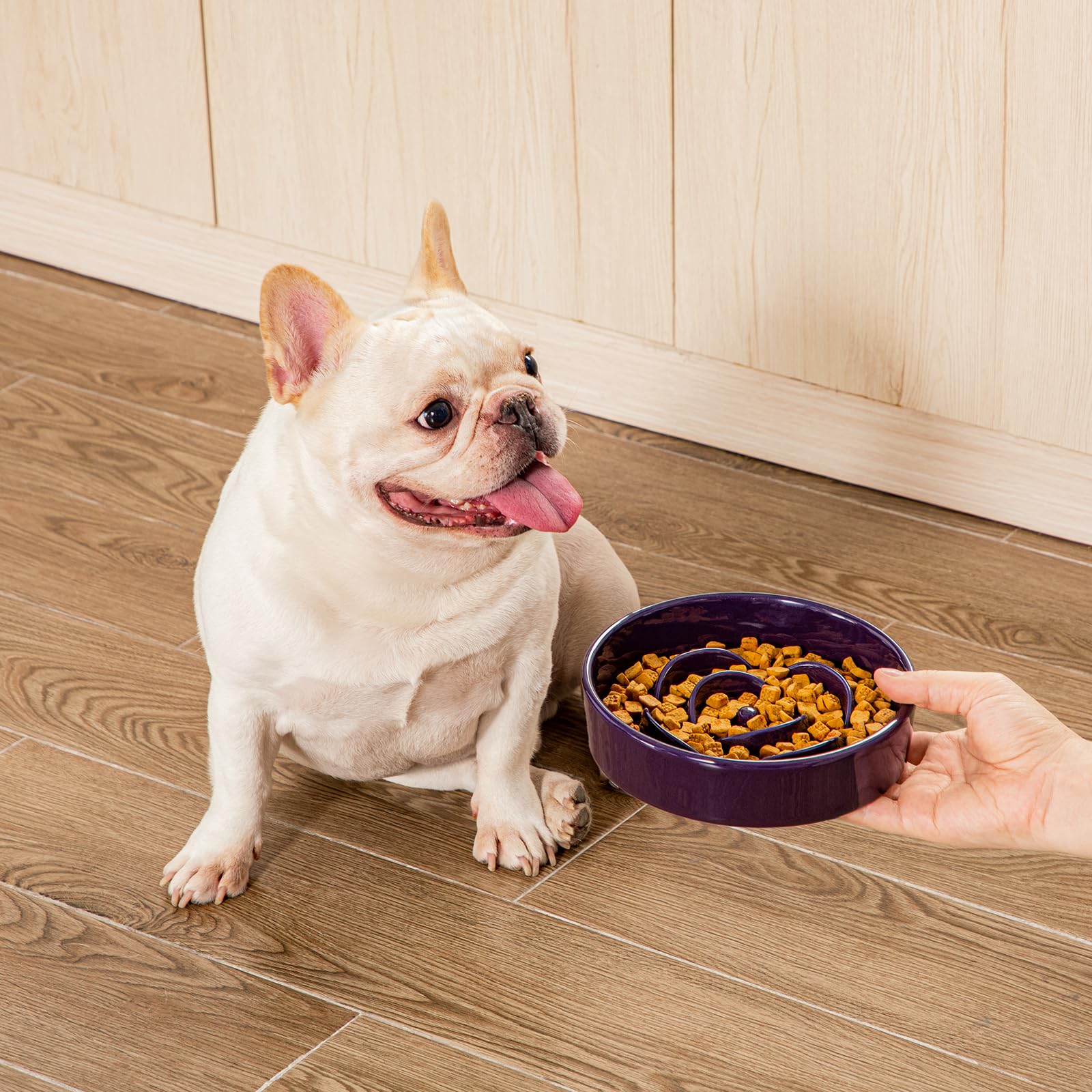 Vancasso slow-feeder-bowl bite-proof design reduces mess during meals