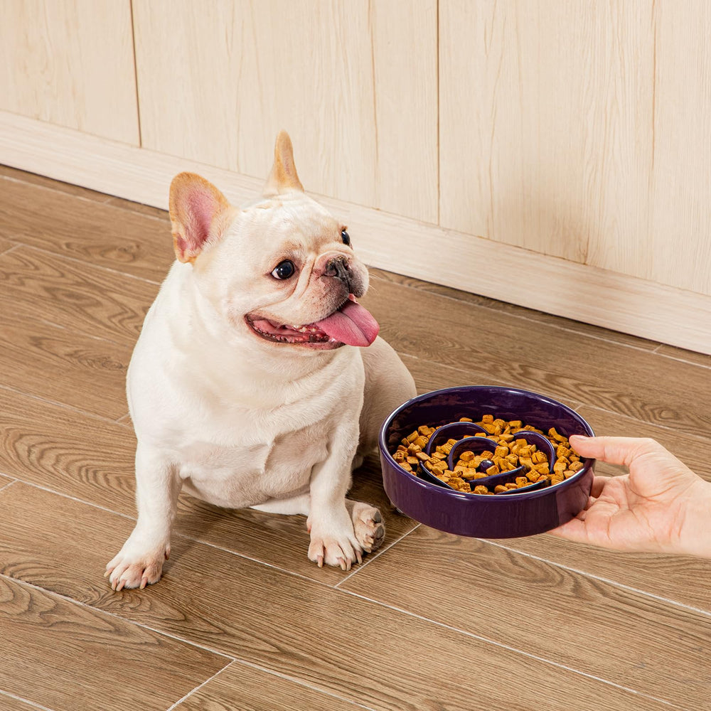 Vancasso slow-feeder-bowl bite-proof design reduces mess during meals