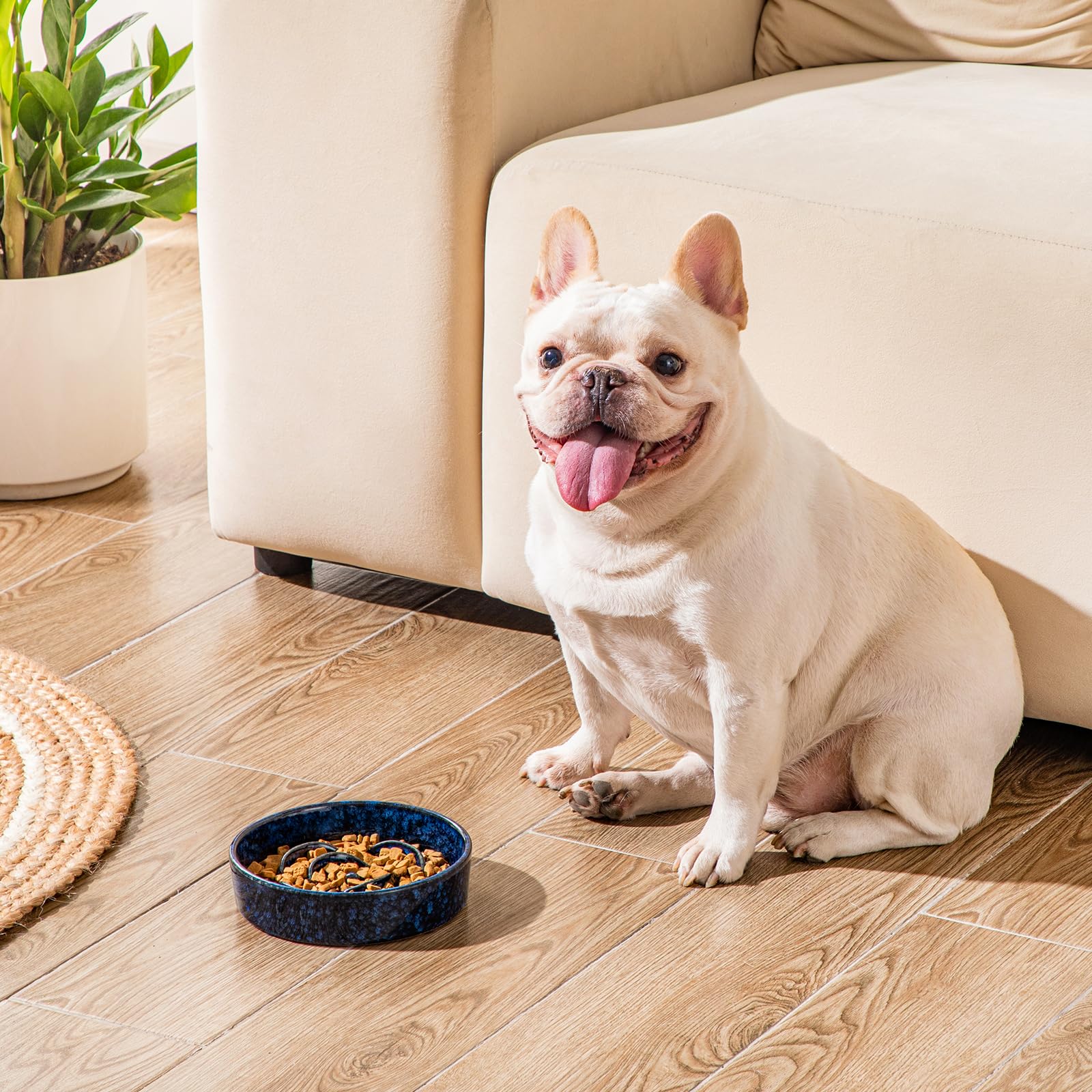 Vancasso blue dish with shallow rim for cats and dogs.