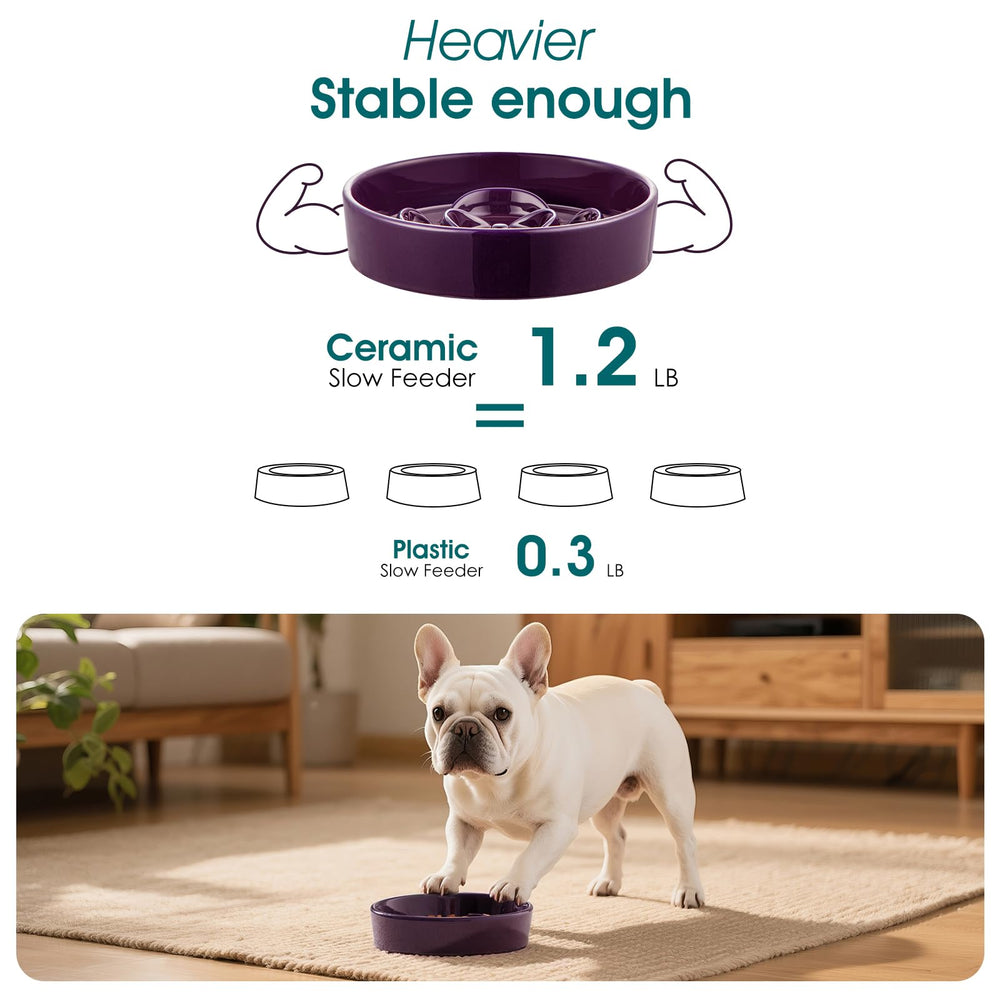 Vancasso slow-feeder-bowl dark-purple stylish option for compact bowls