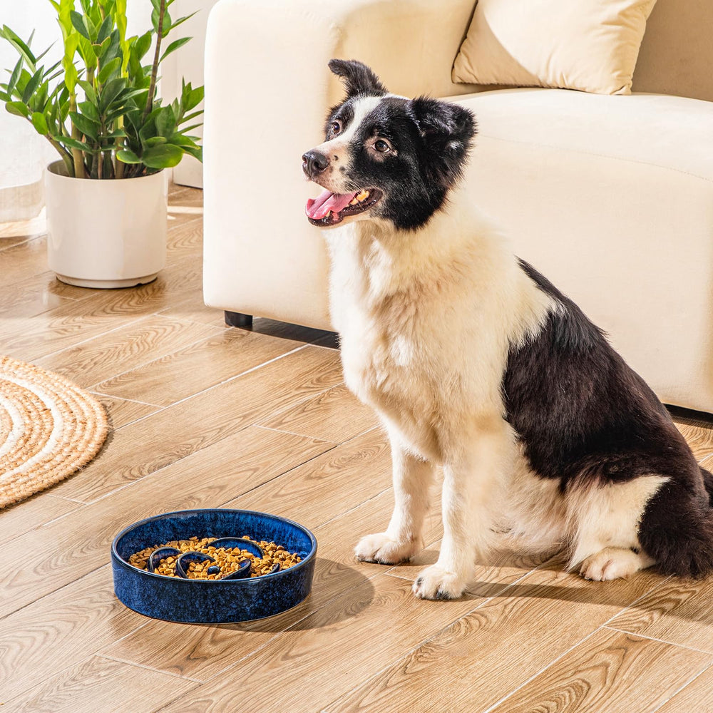 Non-porous ceramic surface of the Vancasso bowl stays fresh after meals