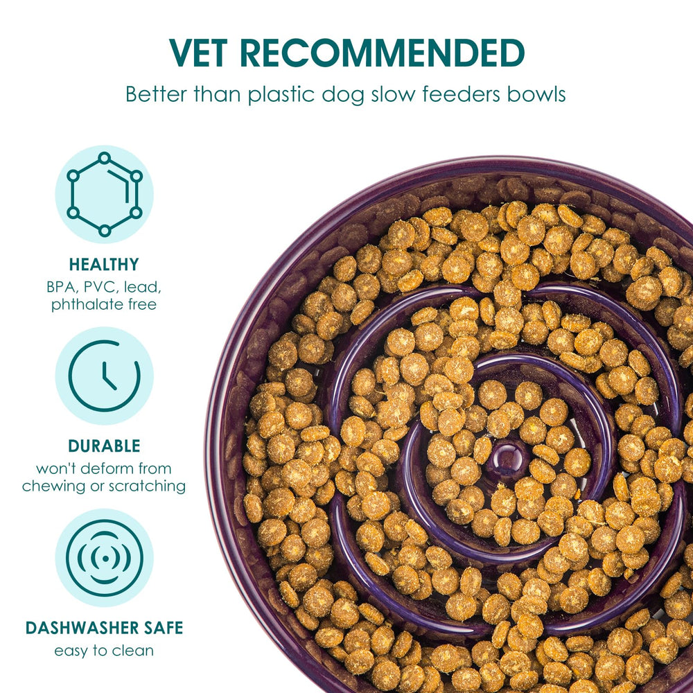 Vancasso slow-feeder-bowl non-slip-base keeps the bowl steady