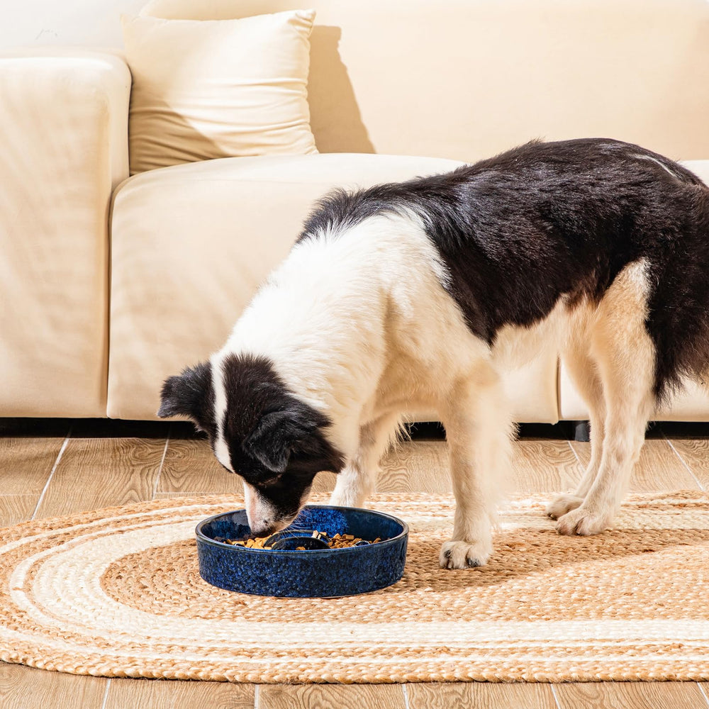Non-slip base of the Vancasso slow feeder bowl keeps it steady during meals
