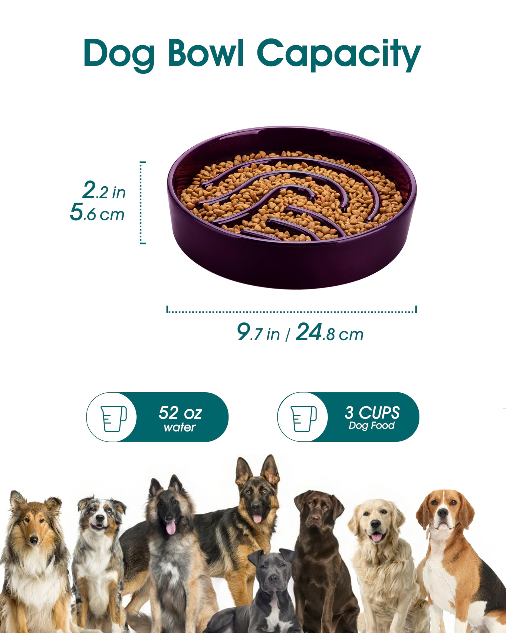 Vancasso slow-feeder dish large-3cup capacity fits large breeds for meals.