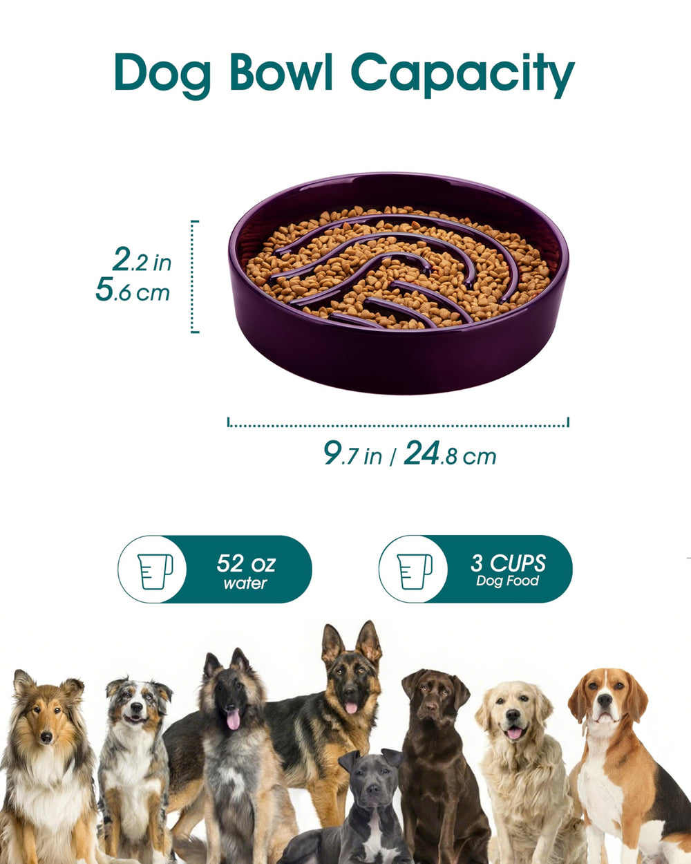 Vancasso slow-feeder dish large-3cup capacity fits large breeds for meals.