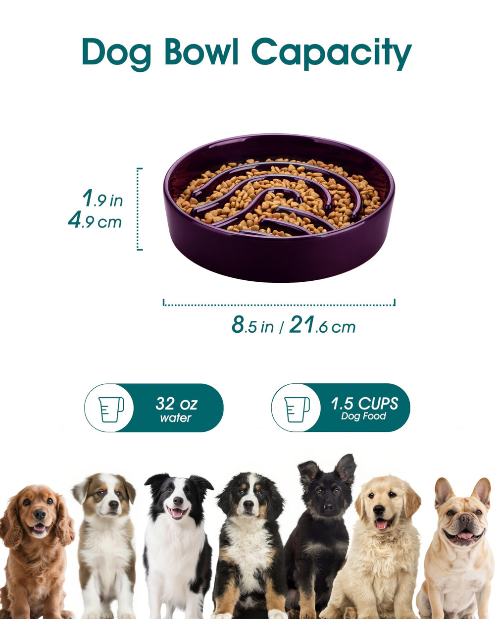 Vancasso slow feeder bowl 1.5 cup size supports small to medium dogs.