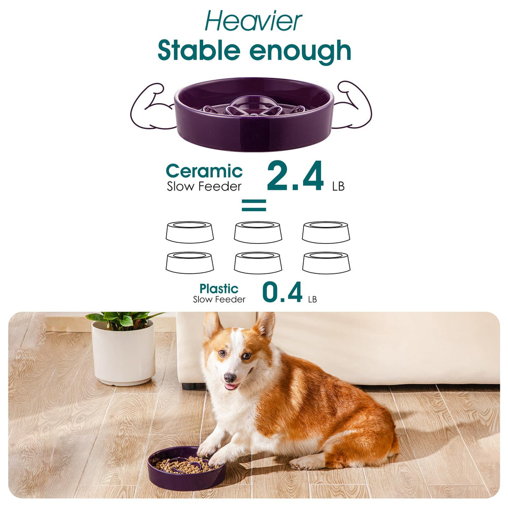 Vancasso chew-proof ceramic bowl avoids plastic chips.