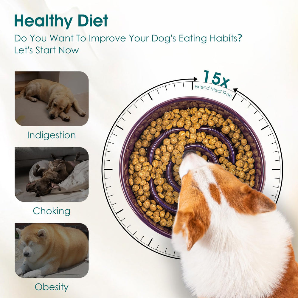 Vancasso dark purple slow feeder bowl enhances style and slows eating.