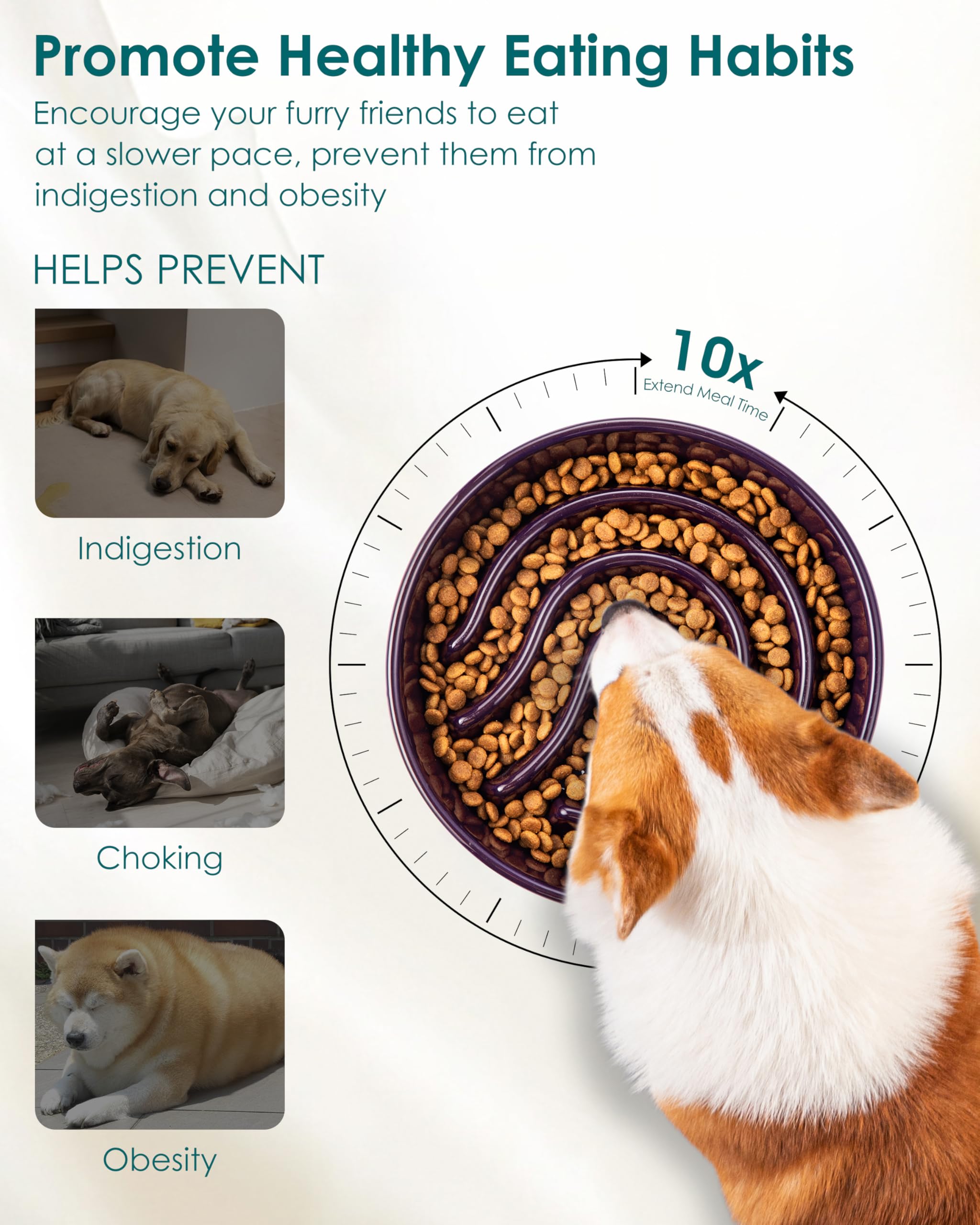 Vancasso slow feeder bowl in dark purple adds style while guiding gentle eating.