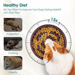 Vancasso dark purple slow feeder bowl enhances style and slows eating.