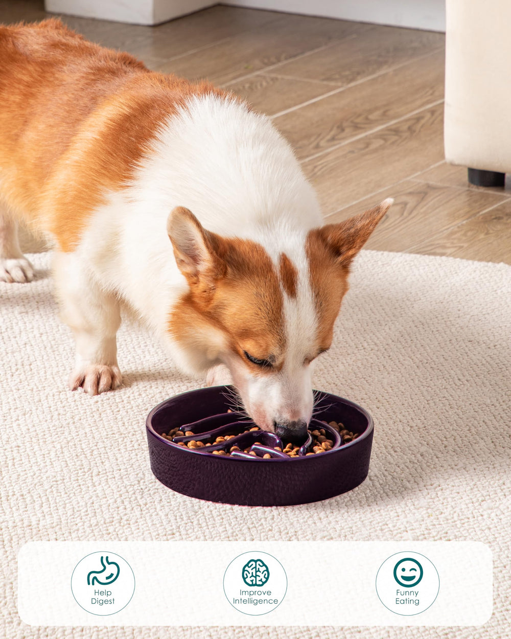Vancasso slow feeder is dishwasher safe for quick cleanup.
