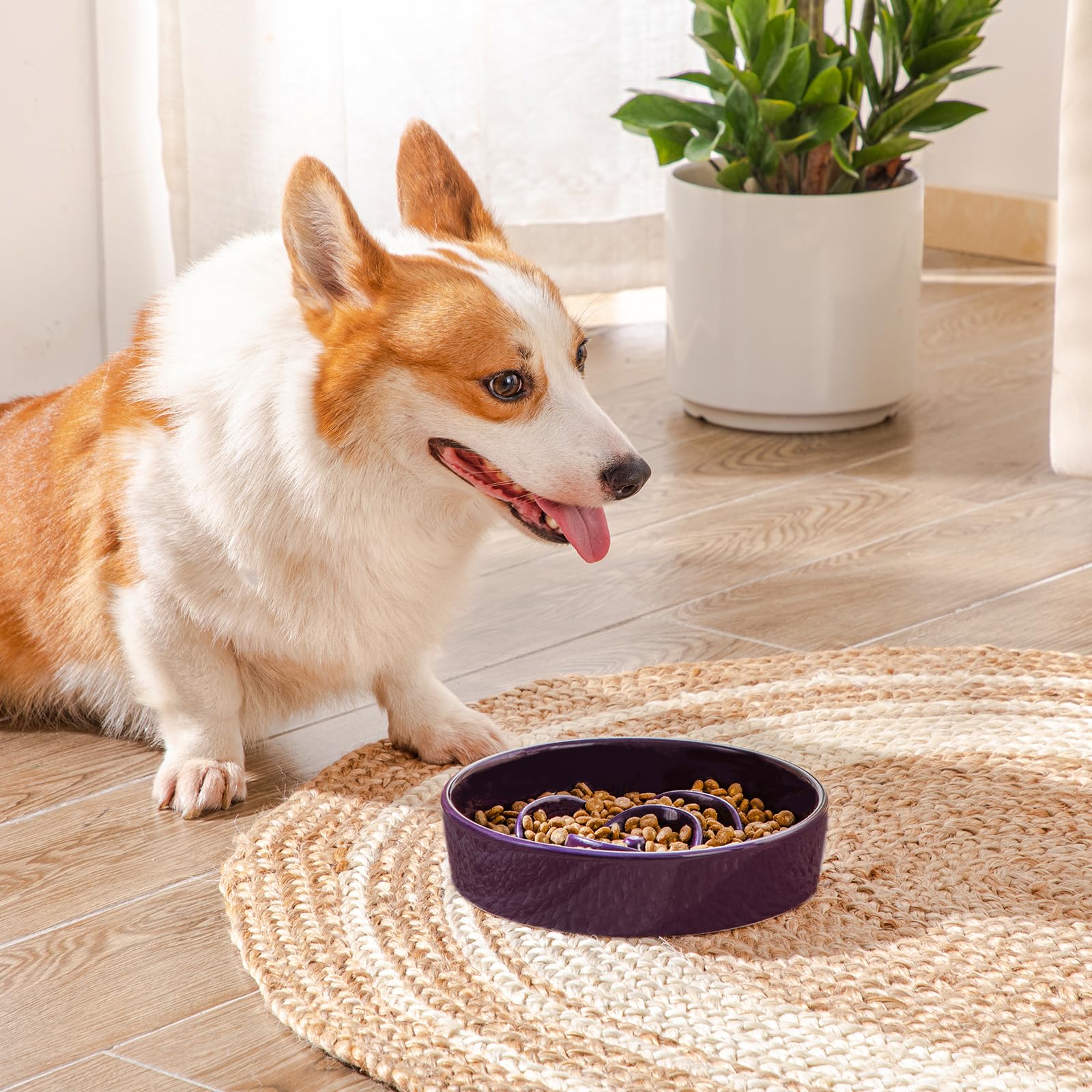 Vancasso durable ceramic bowl for fast eaters with engaging maze.