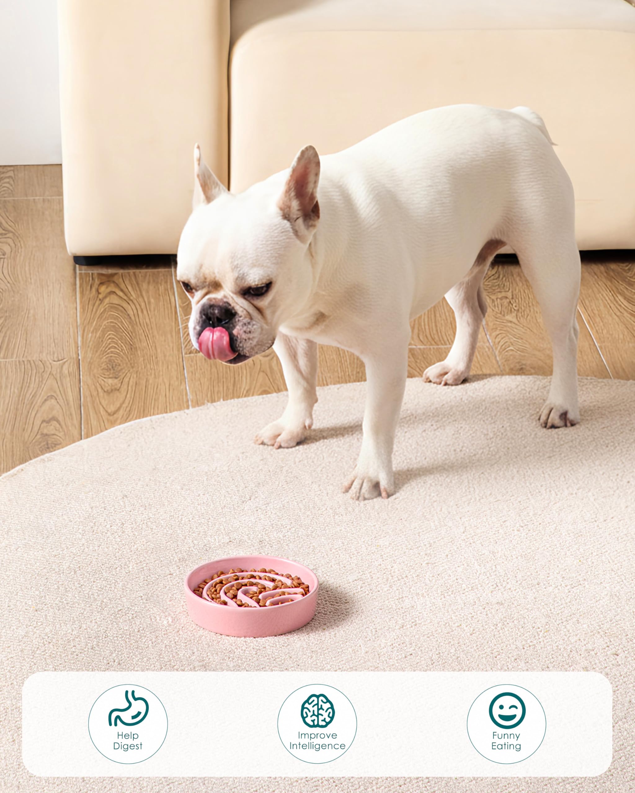 Dog enjoying a meal with the pink Vancasso slow feeder
