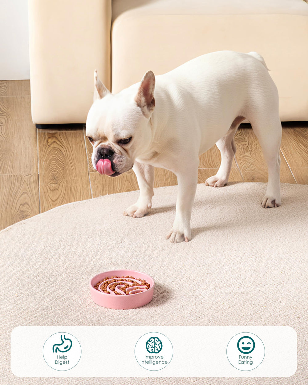 Dog enjoying a meal with the pink Vancasso slow feeder
