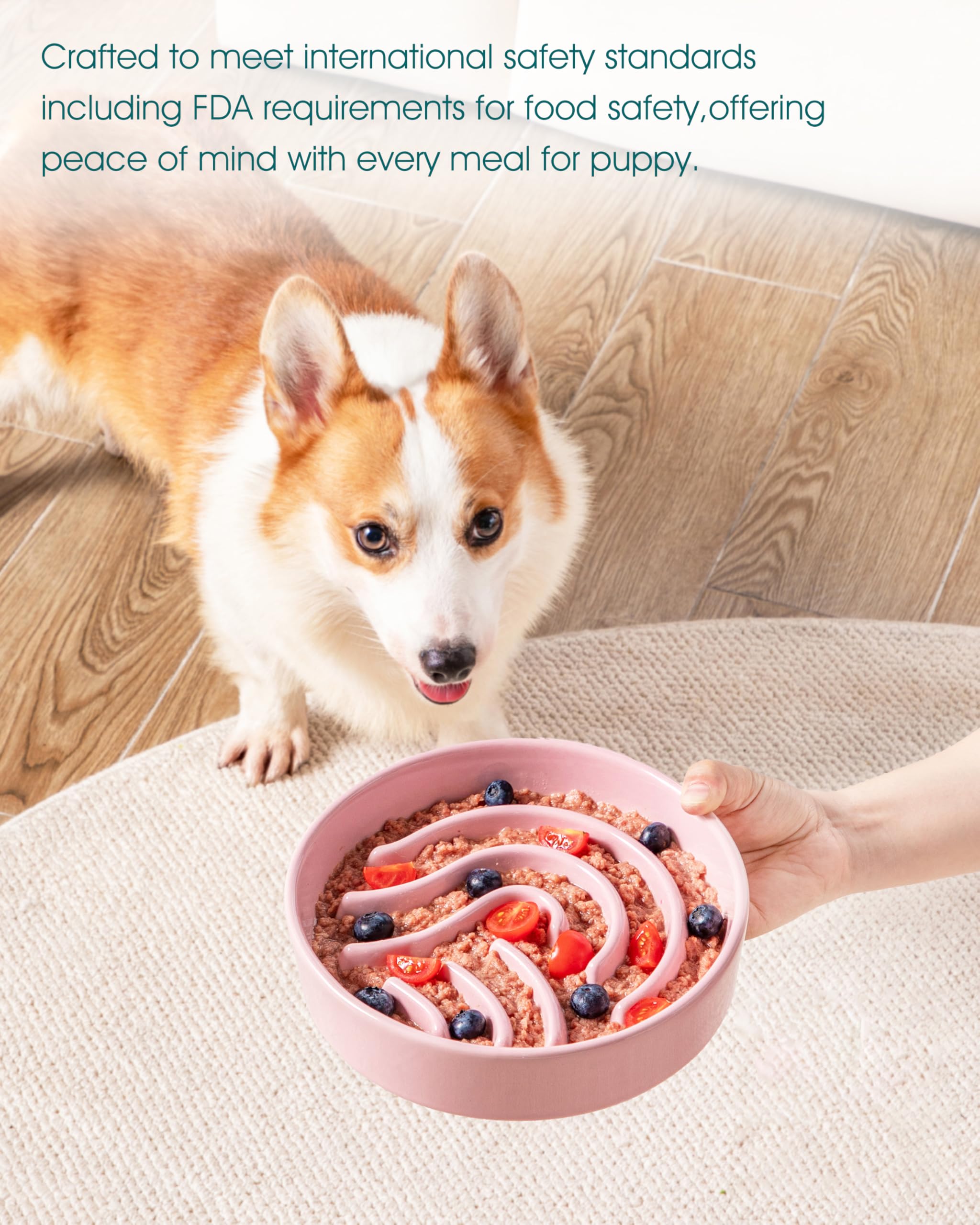Vancasso 1.5-cup capacity ideal for small to medium dogs during daily meals.