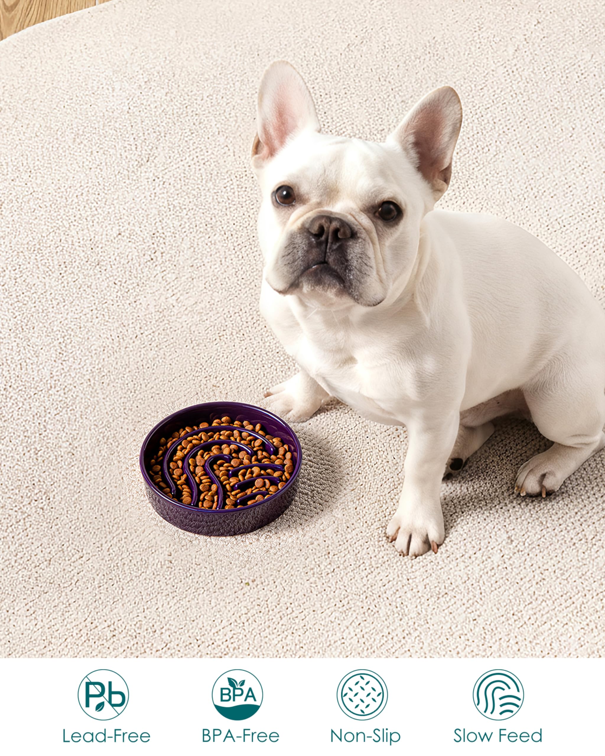 Vancasso bowl sizes fit tiny to large dogs for versatility.