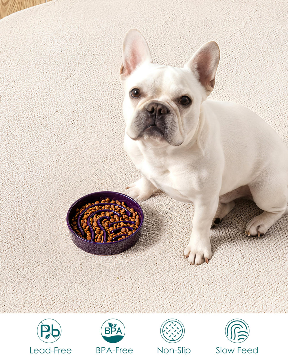 Vancasso bowl sizes fit tiny to large dogs for versatility.