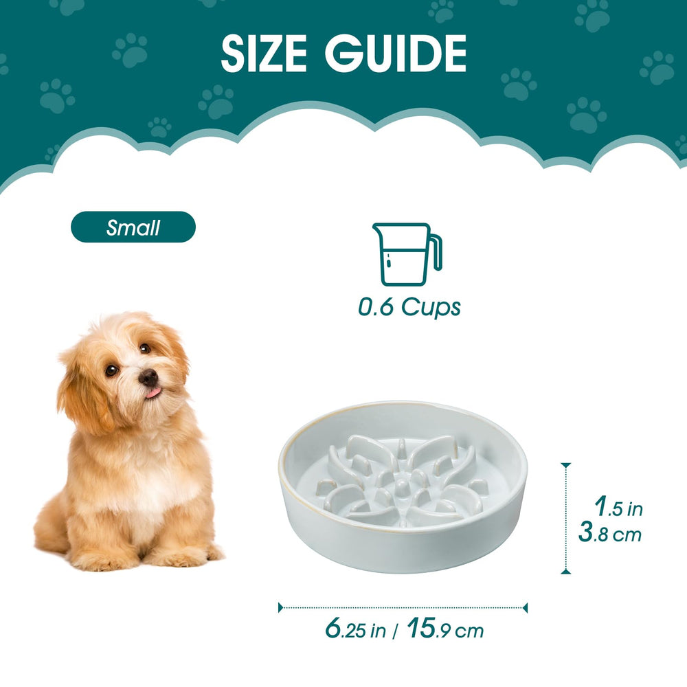 Vancasso small-breed ceramic bowl fits compact paws and portions.