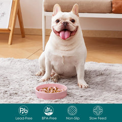 Vancasso small breed dish 0.6 cups for measured portions
