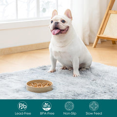 Vancasso small-breed dog bowl fits compact spaces and portions.