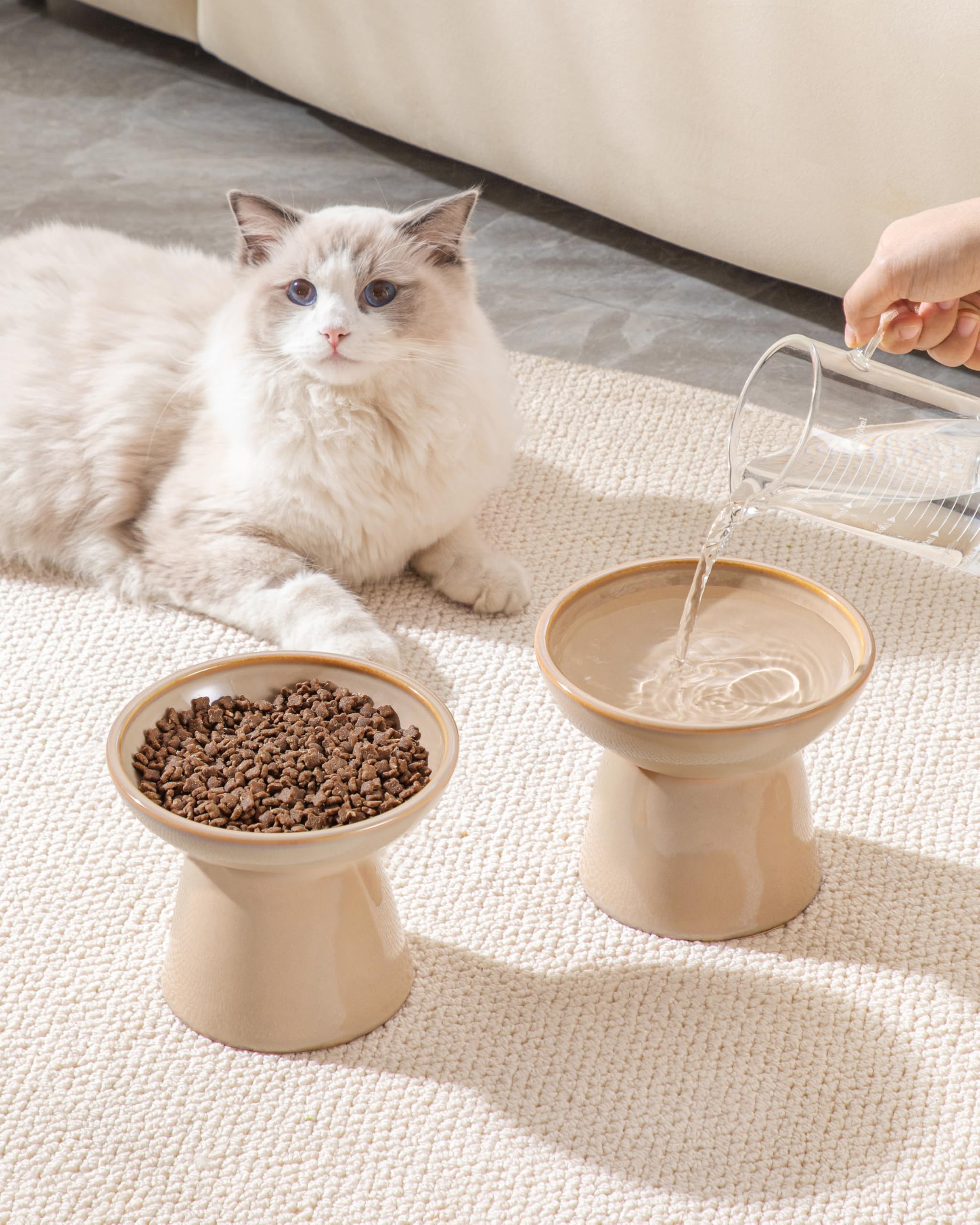 Vancasso suitable for cats and small dogs, a versatile feeding solution.