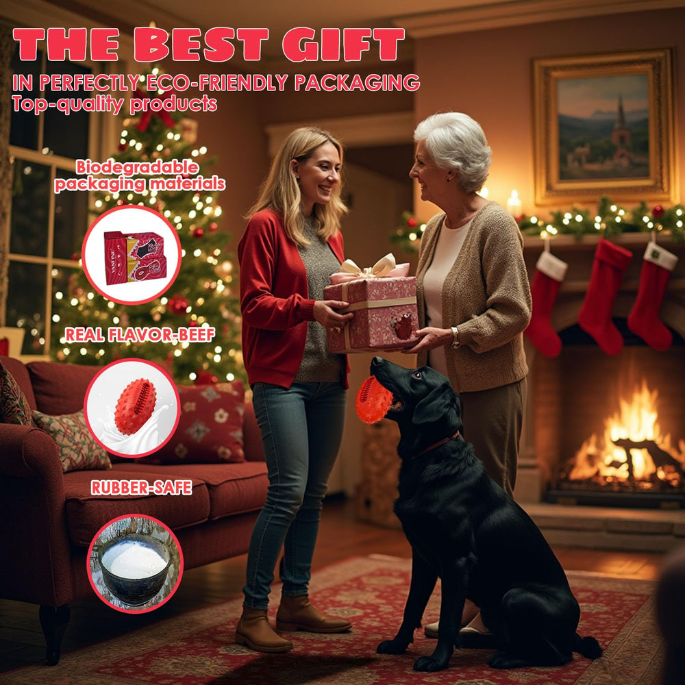 VANFINE beef-flavor dog toy entices chewing and healthy engagement.