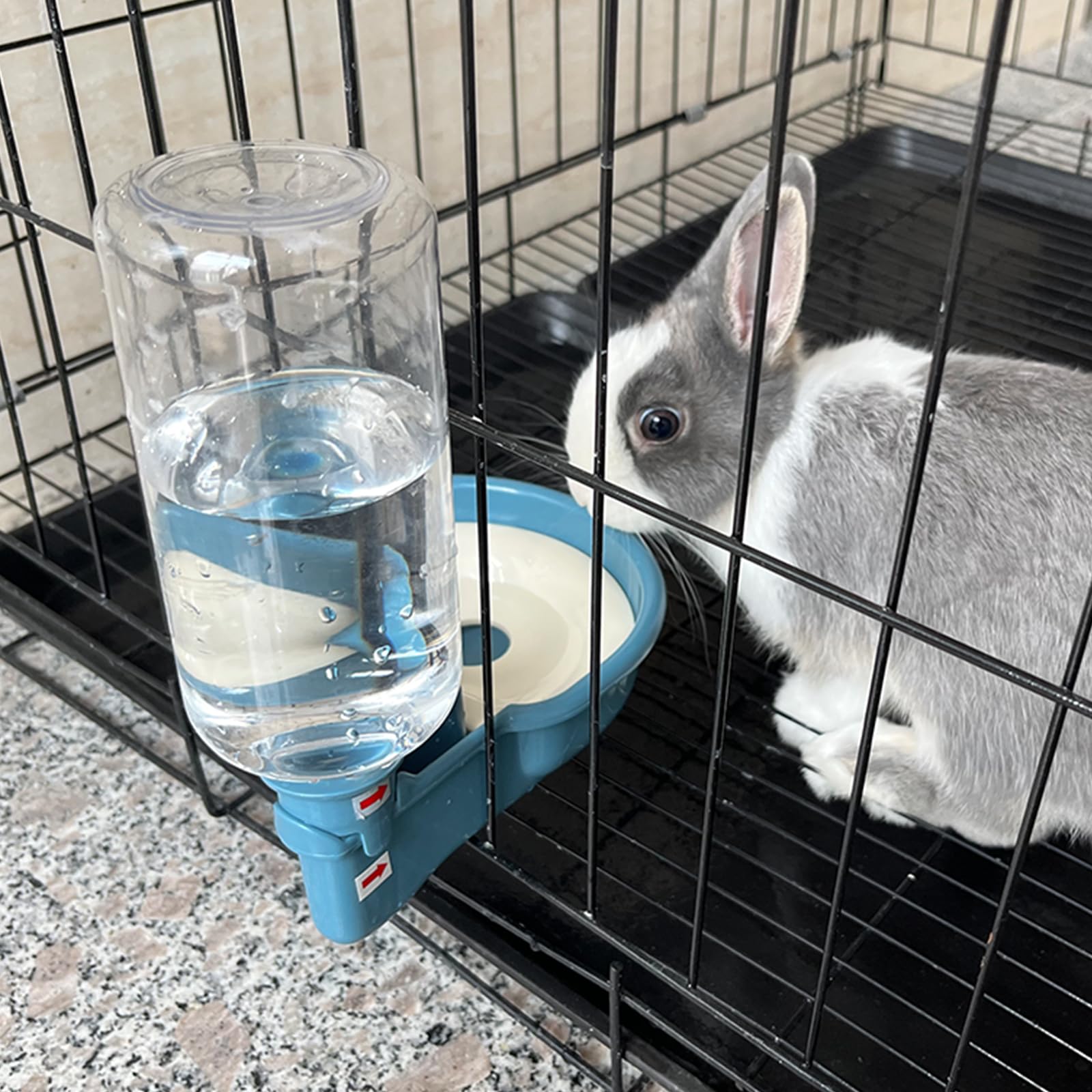 Blue Vannon bottle designed for small animals cages
