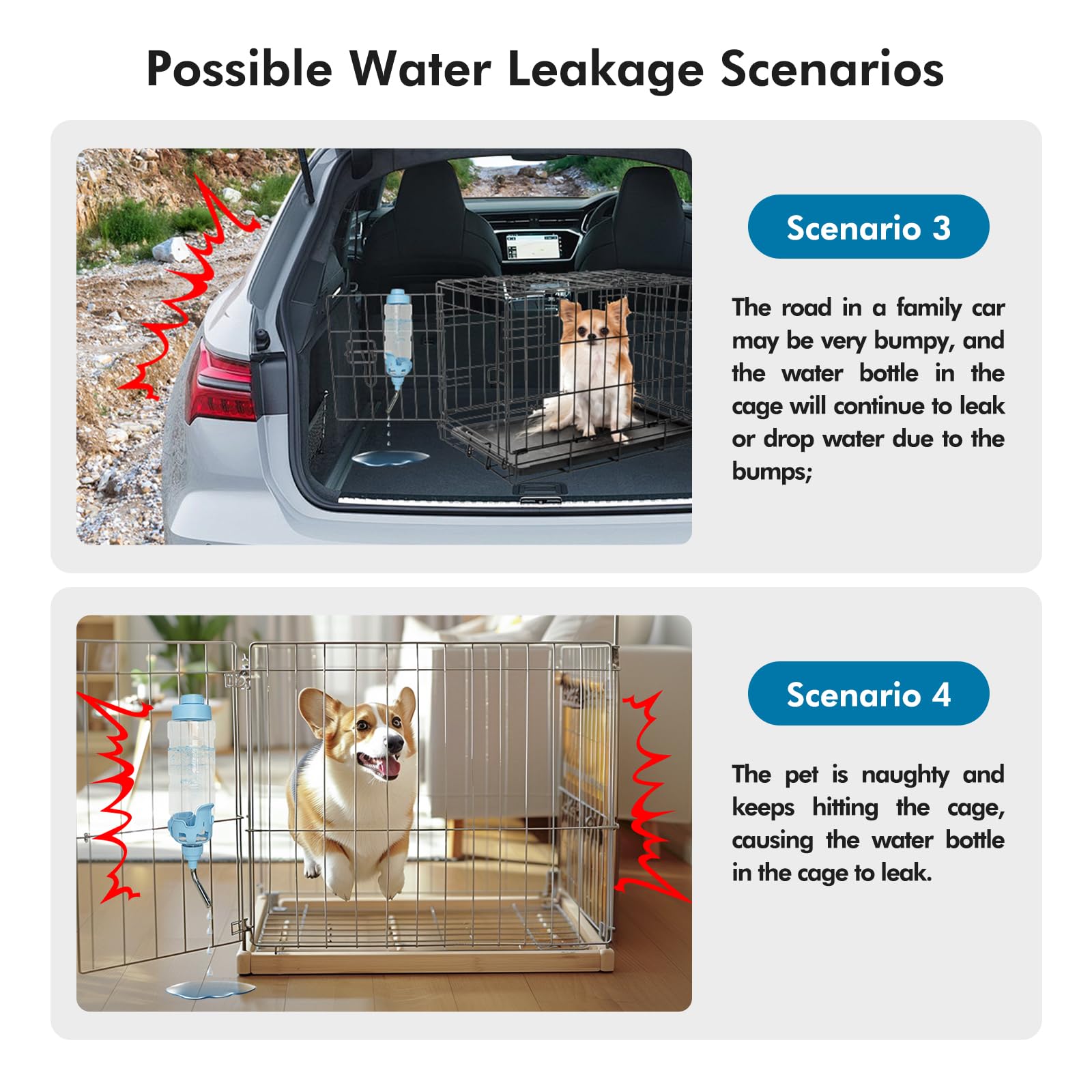 Vannon BPA-free materials reassure owners about safe pet hydration.