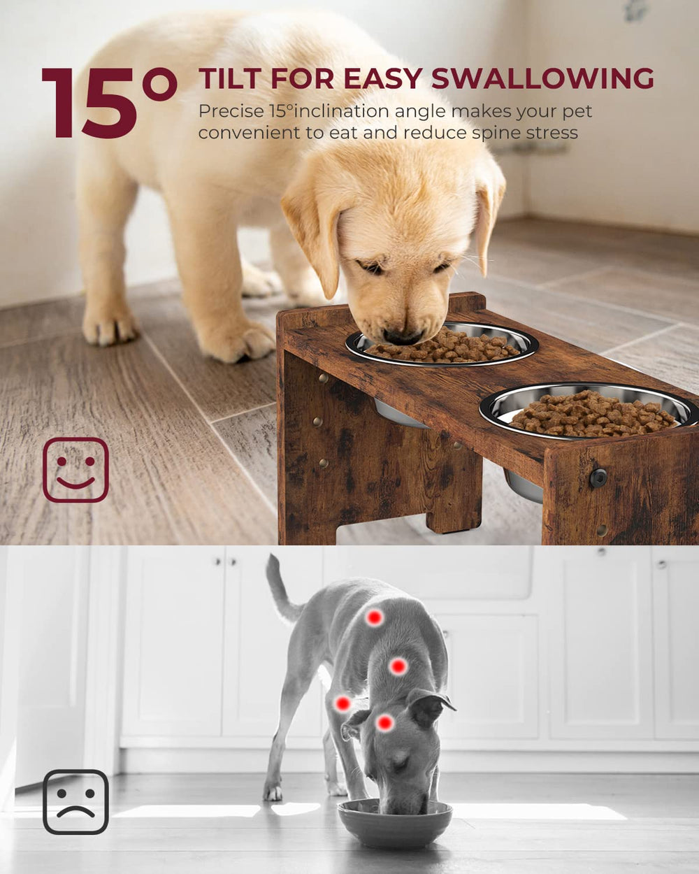Vantic elevated bowls with a 15-degree tilt for comfortable feeding.