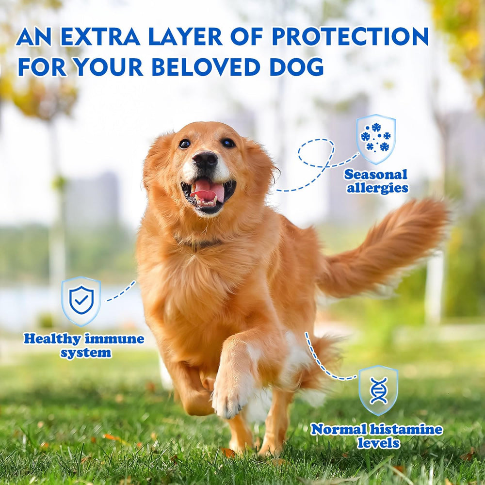 VanWooky Quercetin + Bromelain dog joint-support chews suggesting mobility comfort