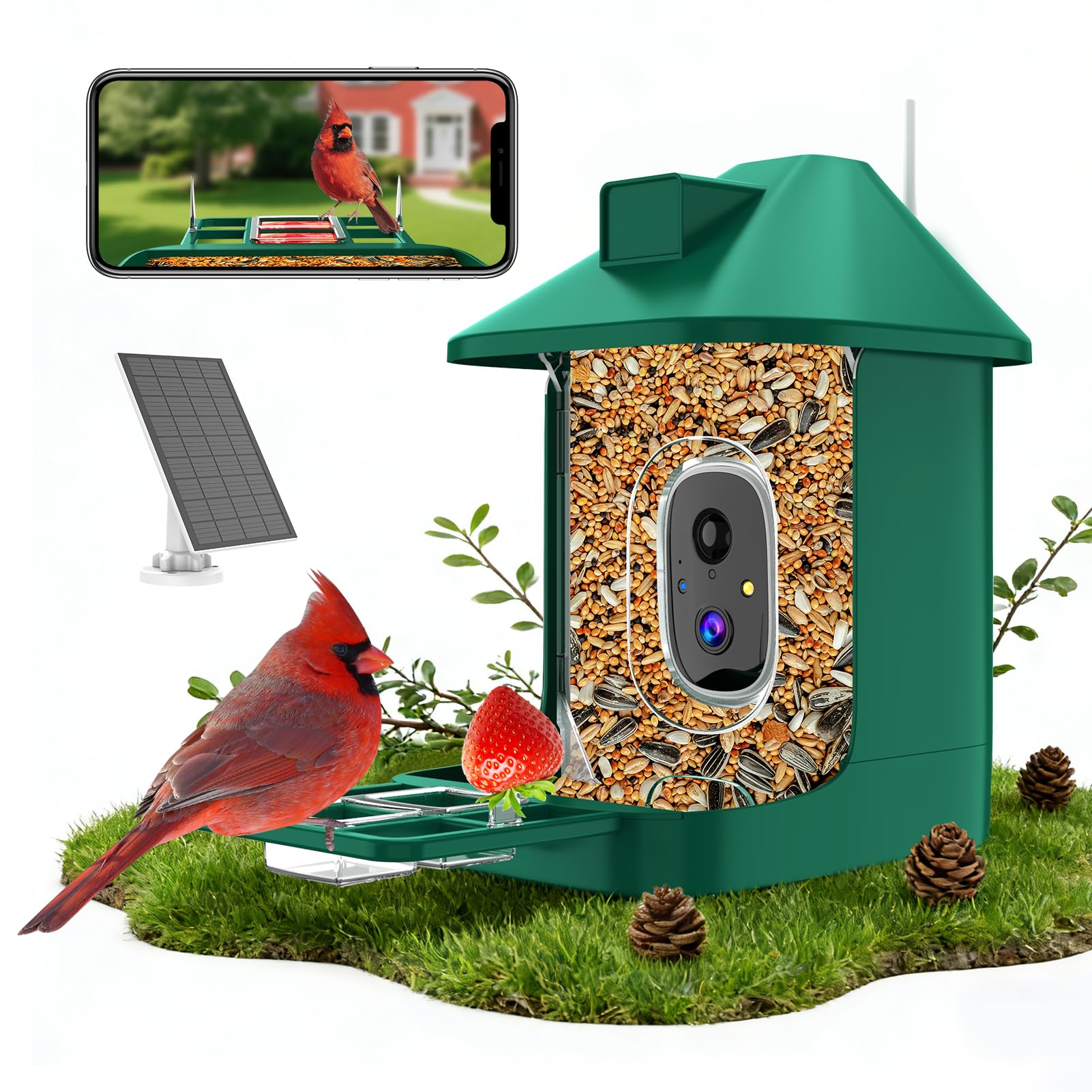 Vatjubi birdfeeder camera front view for reliable backyard birdwatching.