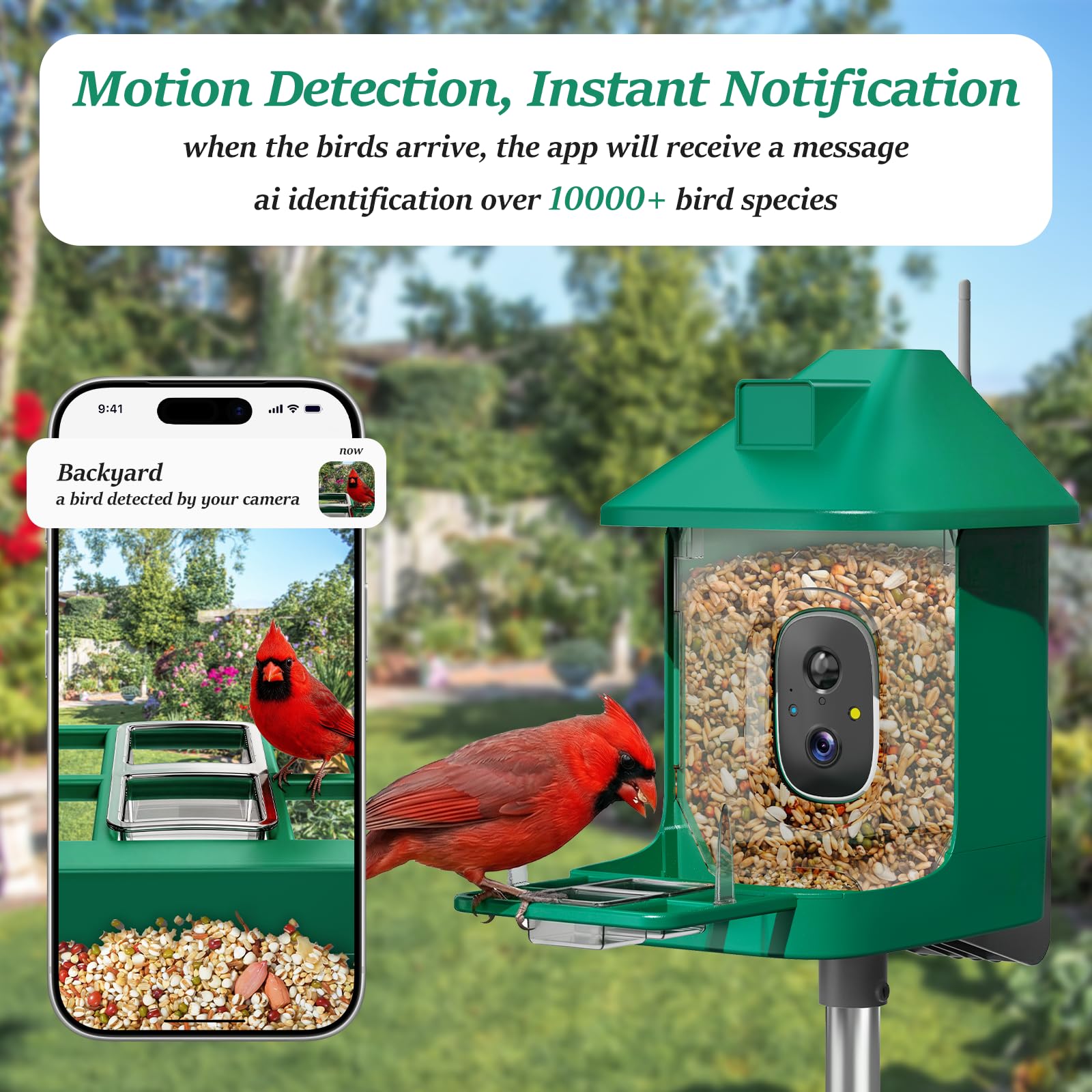 Vatjubi birdfeeder camera side installation demonstrates versatile mounting options.