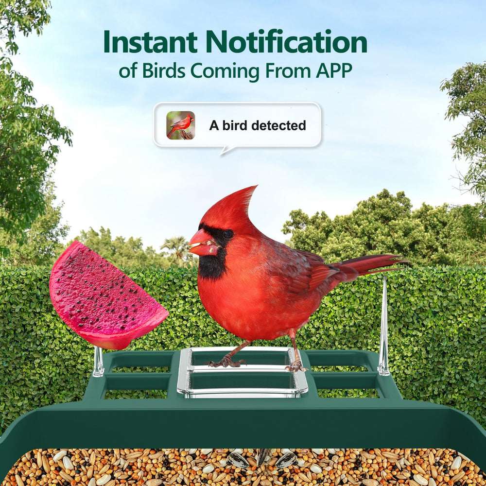 Vatjubi birdfeeder night vision delivers clear footage after dusk.