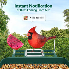 Vatjubi birdfeeder night vision delivers clear footage after dusk.